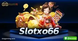 Slotxo66